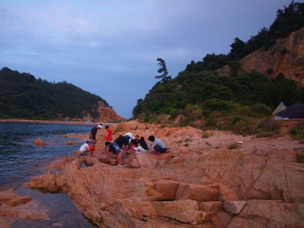 若夢プロジェクト（無人島）